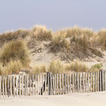 photo de la Camargue