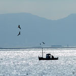 photo de clair obscur